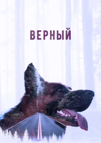 Верный (2016)