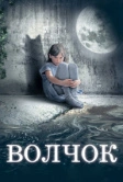 Волчок (2009)