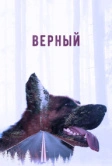Верный (2016)