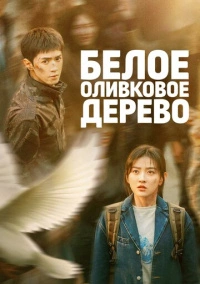 Белое оливковое дерево (2025)