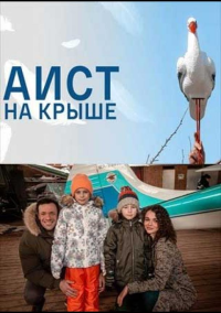 Аист на крыше (2021)